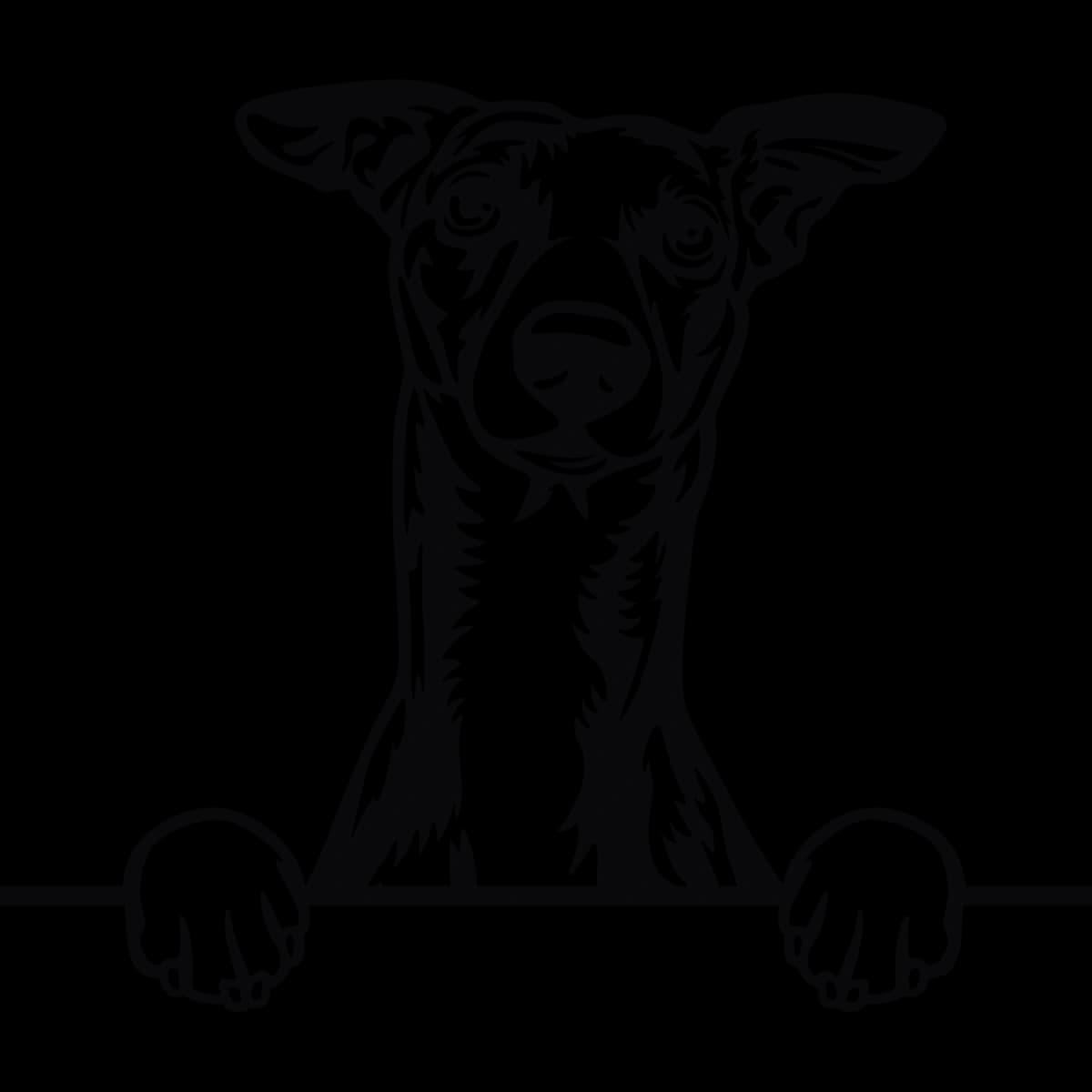 Whippet Hundeaufkleber